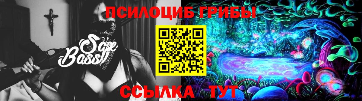 Галлюциногенные грибы Psilocybe  Псилоцибиновые грибы GOLDEN TEACHER  Вход с VPN  Лангепас 