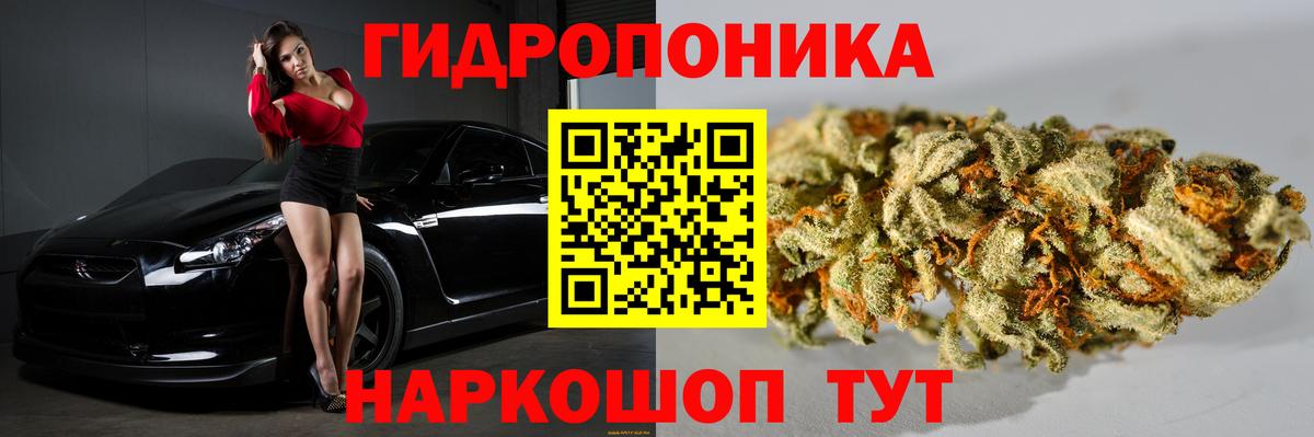 Конопля Amnesia  Бошки Шишки конопля  МАРИХУАНА план  Вход с VPN  Лангепас 